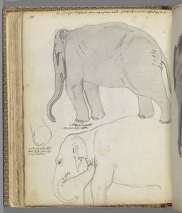 Perspective of Three Figures