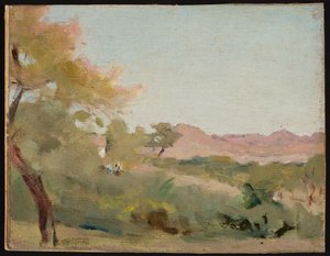 Udaipur - Indian landscape. From a journey to India