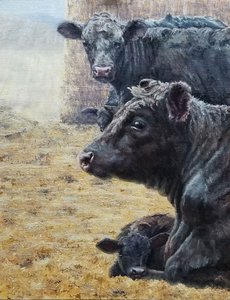 Black Cattle Family