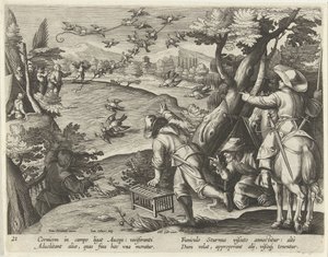 Hunting Crows and Starlings