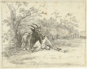 Lying Goat by Jan Dasveldt