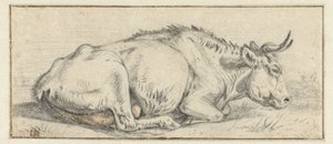 Lying Cow