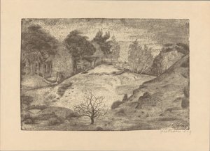 Heath near Laren