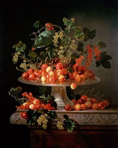 A Still Life of Cherries and Currants with a Parrot