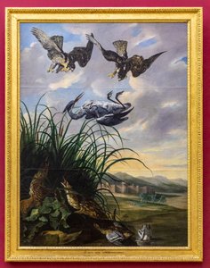 Heron Pursued by Falcons