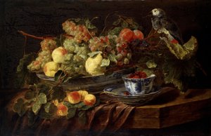 Still Life with Fruit and Parrot, 1645