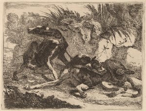Two Greyhounds, Leashed and Facing Opposite Directions
