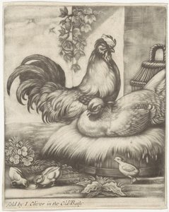 Rooster and Hen by Jan Griffier (I)