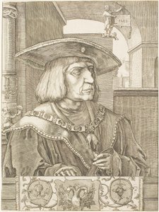 Emperor Maximilian I by Jan Harmensz. Muller