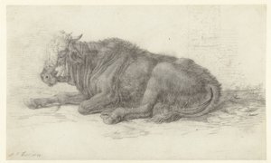 Lying Cow by Jan Joost van Cossiau