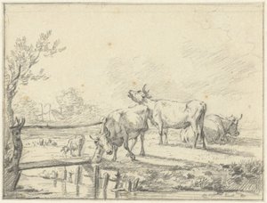 Cows in a Meadow