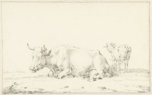 Lying Cow Facing Left and a Sheep on the Right by Jan Kobell (II)