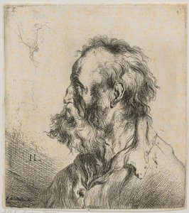Bust of a Bearded Old Man by Jan Lievens