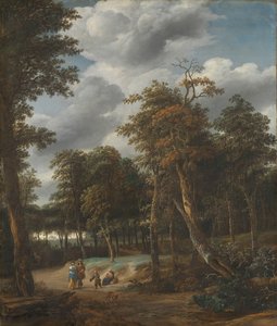 Forest Road