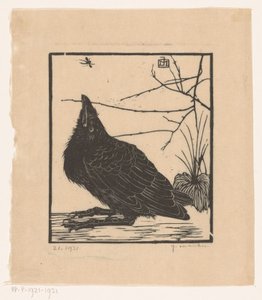 Crow Looking Up at a Gnat
