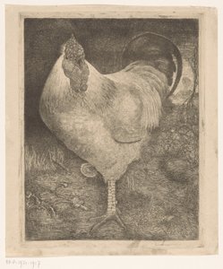 Rooster on One Leg