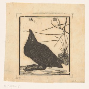 Crow Looking Up at a Gnat