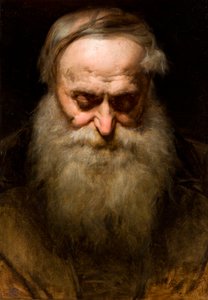 Head of an Old Man with a Grey Beard