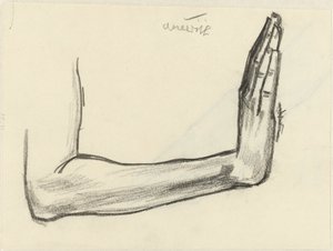 Study of a Forearm