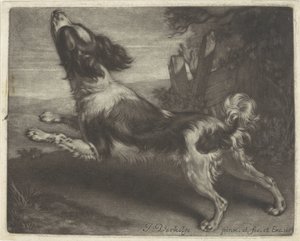 Running Dog, Possibly a Spaniel by Jan Verkolje (I)