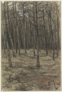 Forest Landscape by Jan Veth