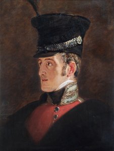 Portrait of Field Marshal Sir John Colborne, British soldier, 1821 by Jan Willem Pieneman