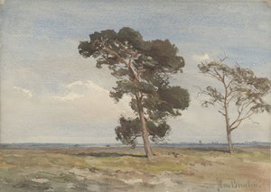 View of the Heath with Two Trees