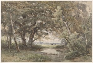 Water Under Trees at the Edge of a Forest by Jan Willem van Borselen