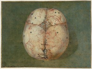 Prints of the Brain and the Heart by Jan l