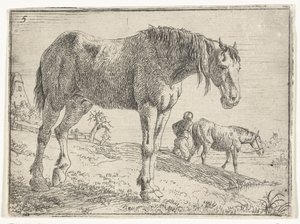Standing Horse (Landscapes with Horses series)