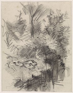 Ducks Sleeping Among Bushes by the Water by Jan van Essen