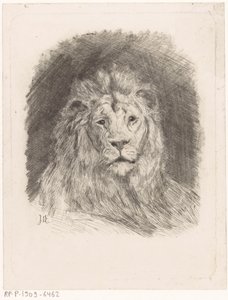 Head of a Lion by Jan van Essen