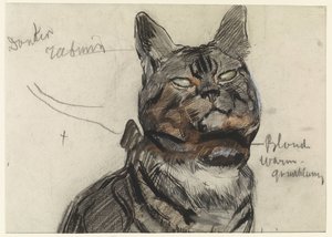 Cat, with Color Notes
