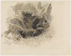 Royal Fern in a Garden in Scherpenzeel by Jan van Essen