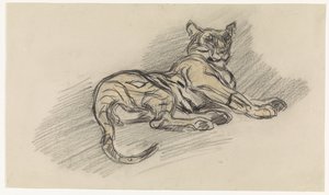 Reclining Tiger, Facing Right by Jan van Essen