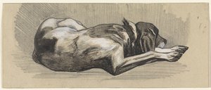 Sleeping Dog, Facing Right