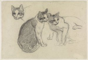 Study Sheet with Cats by Jan van Essen