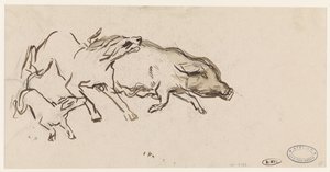 Two Dogs Chasing a Pig