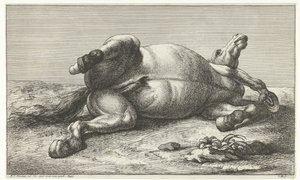 Fallen Horse Lying on Its Left Side by Jan van Huchtenburg