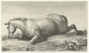 Fallen Horse Lying on Its Belly (Fallen Horses series) by Jan van Huchtenburg