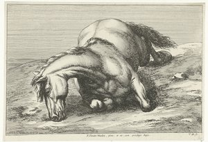 Fallen Horse Lying on Its Right Side by Jan van Huchtenburg