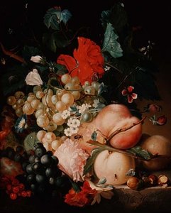 Mixed Flowers and Fruit with Insects on a Marble Plinth by Jan van Huysum