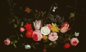 Unknown Image
