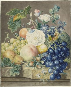 Still Life by Jan van Os