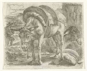 Pack Donkey
