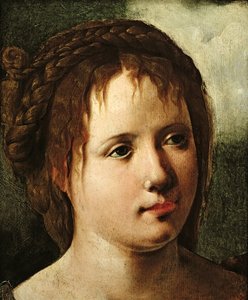 Head of a Girl, 1530-35