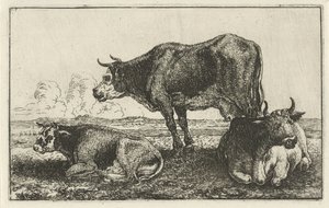 Three Cows