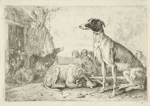 Dog Kennel