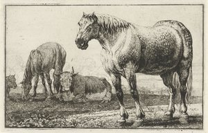Horses and Cows by Jan van den Hecke
