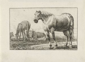 Horses and Cows